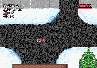 Home Alone (Genesis) screenshot: On the road