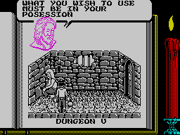 Knightmare (ZX Spectrum) screenshot: Makes sense