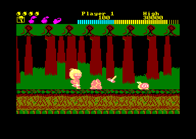 Wonder Boy (Amstrad CPC) screenshot: Area 1 Round 1