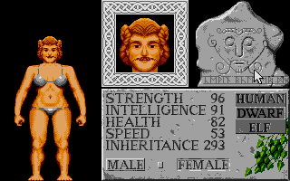 Legends of Valour (Atari ST) screenshot: Dwarf woman with mustache...