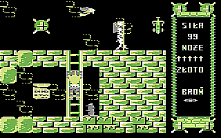 Monstrum (Commodore 64) screenshot: Using the ladder