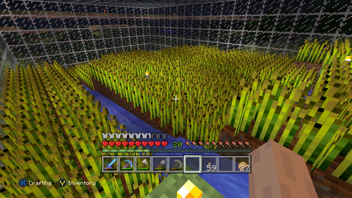 Minecraft: PlayStation 4 Edition (Xbox One) screenshot: The player can also get food from other sources, like growing wheat.