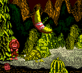 Donkey Kong Country (Game Boy Color) screenshot: Really Gnawty was defeated and DK receives the respective reward: one big banana with a famous logo printed...