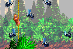 Donkey Kong Country (Game Boy Advance) screenshot: You must avoid all the Zingers using this simple rope