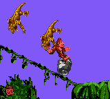 Donkey Kong Country (Game Boy Color) screenshot: Killing two fool Kremlings using a "customized" steel barrel attack.