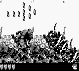 Donkey Kong Land III (Game Boy) screenshot: This delicious arrow shows the correct way.