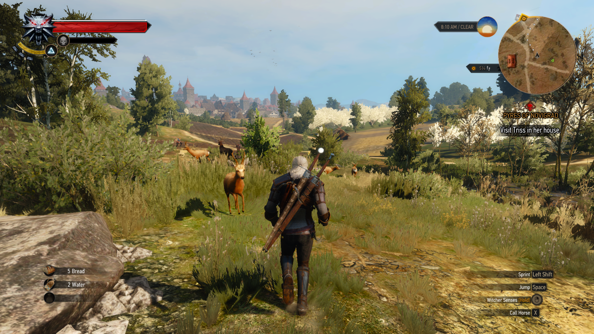 The Witcher 3: Wild Hunt (Windows) screenshot: Magnificent view of a large town with some deer running around!..