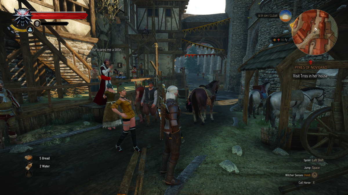 The Witcher 3: Wild Hunt (Windows) screenshot: Welcome to Novigrad! It's a large city and there is a lot to do here!