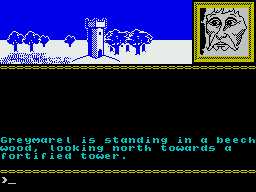 Runestone (ZX Spectrum) screenshot: Another vista