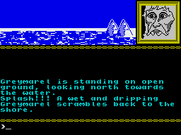 Runestone (ZX Spectrum) screenshot: He doesn't like the weather