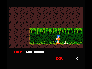 Dragon Buster (MSX) screenshot: Kill the snake