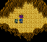 Dragon Warrior Monsters 2: Cobi's Journey (Game Boy Color) screenshot: In the dark cave...