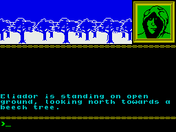 Runestone (ZX Spectrum) screenshot: Controlling Eliador - he prefers forest terrain