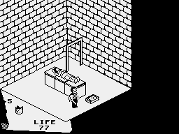 Fairlight (ZX Spectrum) screenshot: The true Tomb with true The Book.