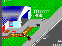 Paperboy (SEGA Master System) screenshot: Crashing in the flowers
