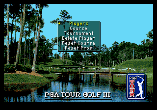 PGA Tour Golf III (Genesis) screenshot: Stats options