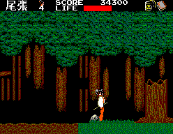 Kenseiden (SEGA Master System) screenshot: Wandering about in the dark spooky forest