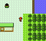 Pokémon Silver Version (Game Boy Color) screenshot: ...to become greatest Pokemon Master!