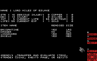 Wizard's Crown (Atari ST) screenshot: Character stats