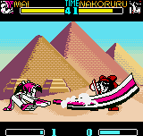 SNK Gals' Fighters (Neo Geo Pocket Color) screenshot: Nakoruru uses her sword to block Mai Shiranui's offensive with the high-sized fan DM Big Bird Bash.