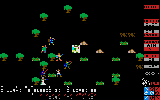 Wizard's Crown (Atari ST) screenshot: Fighting with spiders
