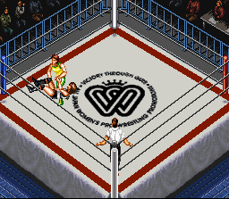 Super Fire Pro Wrestling Queen's Special (SNES) screenshot: Stomping. Not only for men