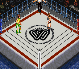 Super Fire Pro Wrestling Queen's Special (SNES) screenshot: Fight starting