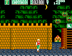 Captain Silver (SEGA Master System) screenshot: Scene 1