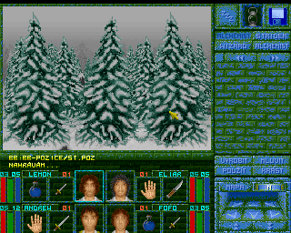 Magic Island: The Secret of Stones (Amiga) screenshot: First time with the full party.