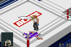 Fire Pro Wrestling 2 (Game Boy Advance) screenshot: Is there anybody in there?