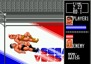 Wrestle War (Genesis) screenshot: Both of us fall to the mat.