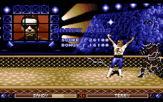 The Ultimate Arena (Atari ST) screenshot: Terry is electrocuted by the fence