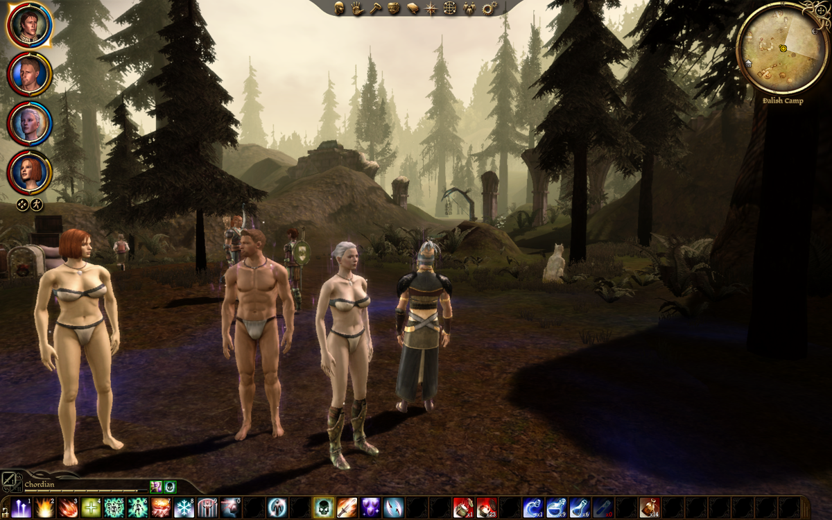 Dragon Age: Origins (Windows) screenshot: Any self-respecting RPG should let you undress your characters down to the underwear