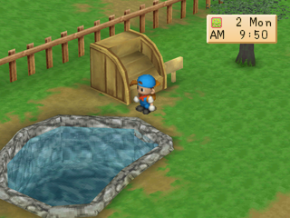 Harvest Moon: Back to Nature (PlayStation) screenshot: Fish pond