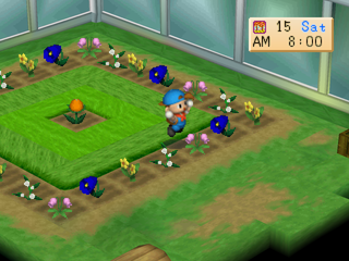 Harvest Moon: Back to Nature (PlayStation) screenshot: Greenhouse