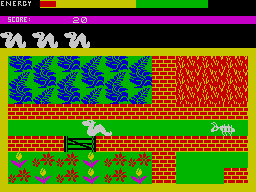 Wriggler (ZX Spectrum) screenshot: This route is narrow
