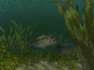 Reel Fishing (PlayStation) screenshot: Trout