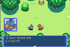 Pokémon Mystery Dungeon: Red Rescue Team (Game Boy Advance) screenshot: He's been turned into a Mudkip!