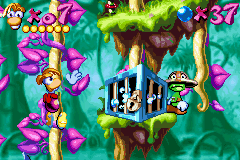 Rayman: 10th Anniversary (Game Boy Advance) screenshot: While climbs in a vine, Rayman waits the time to break a Small Livingstone-watched Electoon cage.