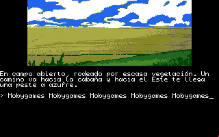 La Aventura Original (Amiga) screenshot: Open field with sparse vegetation.