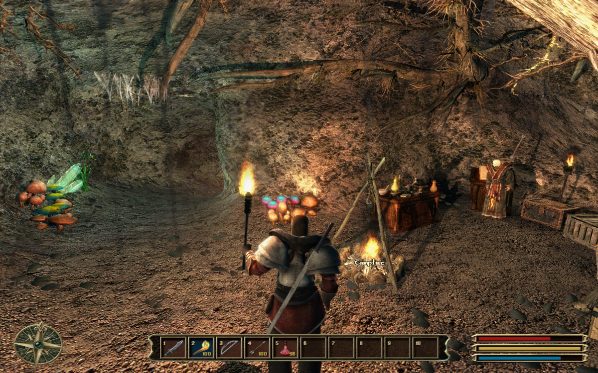 Gothic 3 (Windows) screenshot: I've donned a heavy rebel armor and eventually discovered a cave with groovy psychedelic mushrooms and some guys living there. Note the cool light and shadow effects provided by the torch