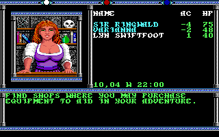 Champions of Krynn (Amiga) screenshot: Rolling demo - Find shops...