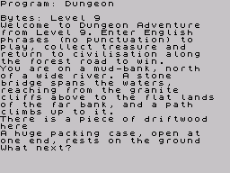 Dungeon Adventure (ZX Spectrum) screenshot: Stating position