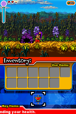 Shantae: Risky's Revenge (Nintendo DSi) screenshot: Shantae can crawl into these small caves.