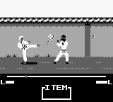 Master Karateka (Game Boy) screenshot: Fighting...