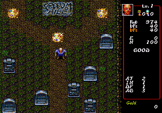 Dungeon Explorer (SEGA CD) screenshot: Cemetery and some gold