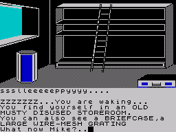 Screenshot of Spy-Trek Adventure (ZX Spectrum, 1986) - MobyGames