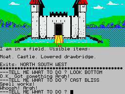 Sorcerer of Claymorgue Castle (ZX Spectrum) screenshot: The castle