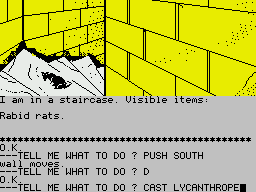 Sorcerer of Claymorgue Castle (ZX Spectrum) screenshot: Using a spell