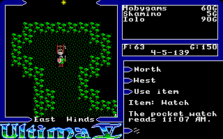 Ultima V: Warriors of Destiny (Amiga) screenshot: A well